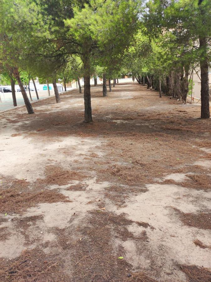 Apartamento completo, mascotas aceptadas Arenales del Sol Exterior foto