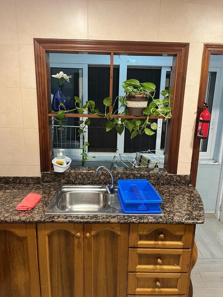 Apartamento completo, mascotas aceptadas Arenales del Sol Exterior foto